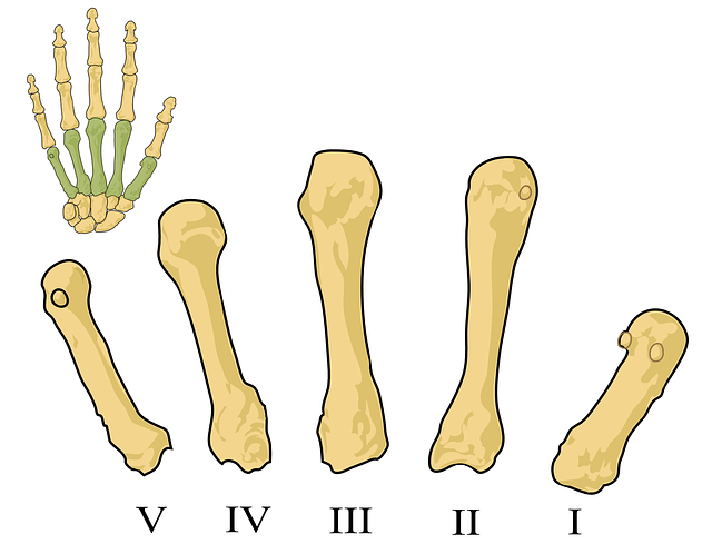 biologie.png